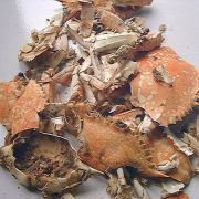 crustacean shells glucosamine